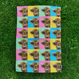 POP ART Highland Coo Tea Towel